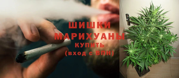 стафф Россошь