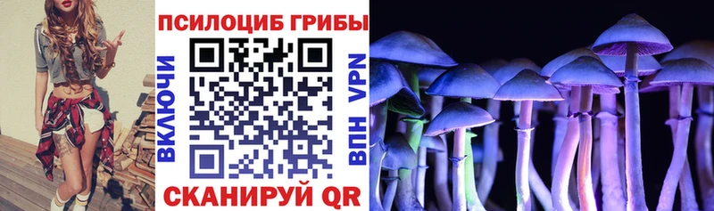 Псилоцибиновые грибы MAGIC MUSHROOMS  Высоковск 
