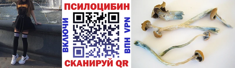 Псилоцибиновые грибы Psilocybine cubensis Высоковск